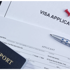 Detailed instructions on the visa application process