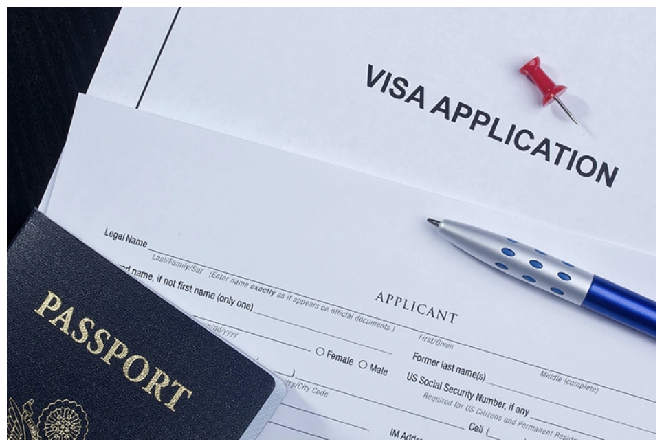 Detailed instructions on the visa application process