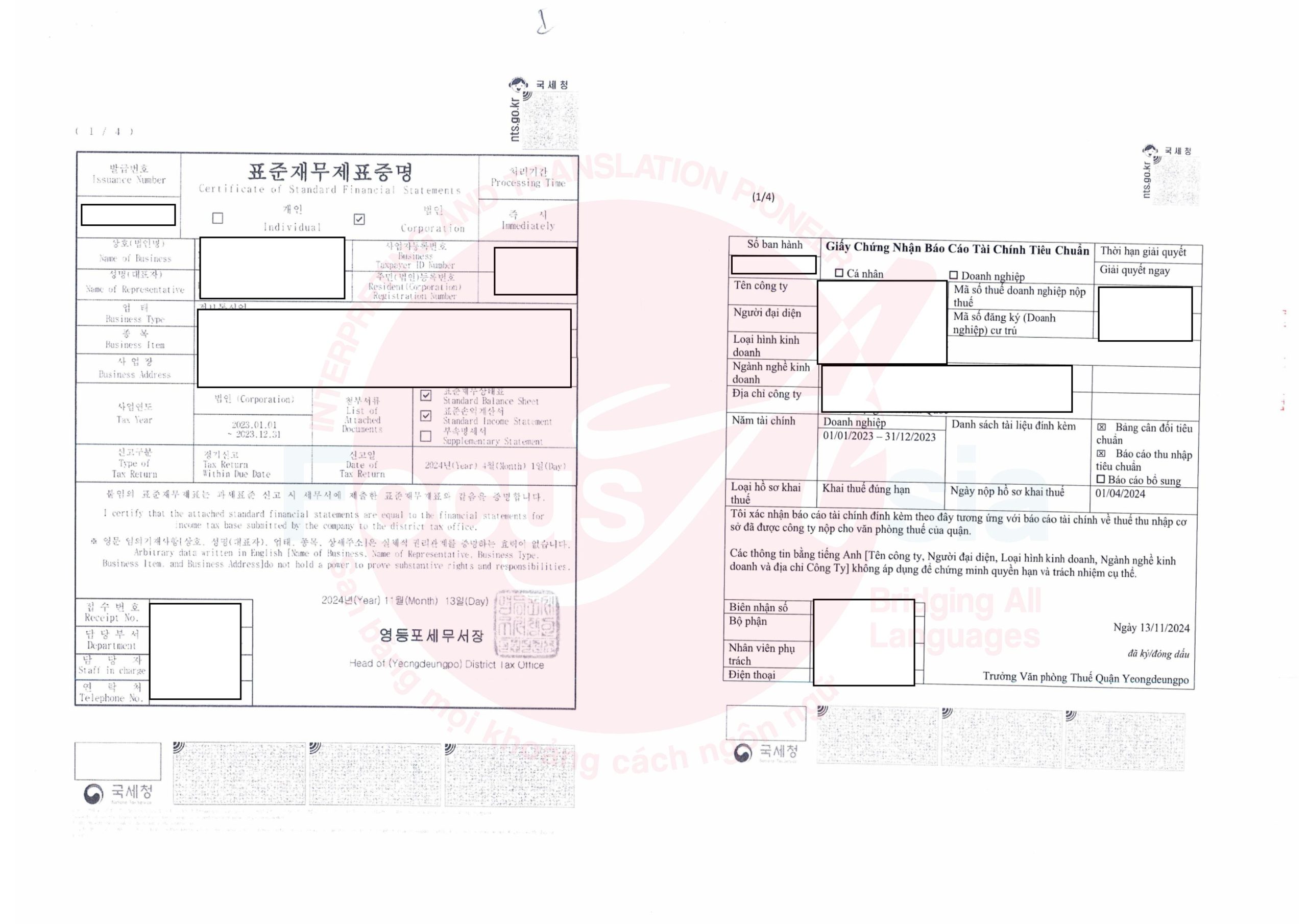 Translation and Notarization Service for Standard Financial Statement Certificate