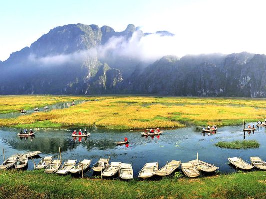 dich thuat uy tin tai tinh ninh binh