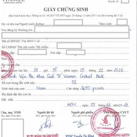 Mau Giay Chung Sinh 5