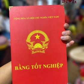 Bang Tot Nghiep Lon