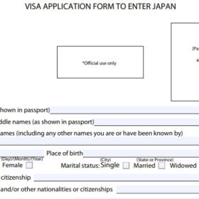 To Khai Visa Nhat 641168c155764